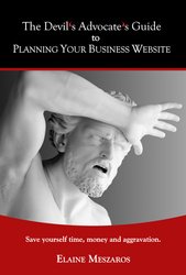 The Devil's Advocate's Guide to Planning Your Business Website